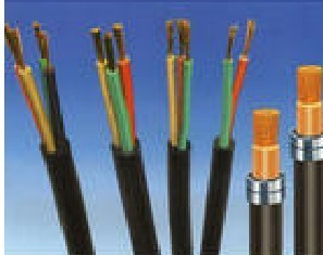 天缆小猫牌电线电缆 动力电缆线与铠装电力电缆的专业报价解析